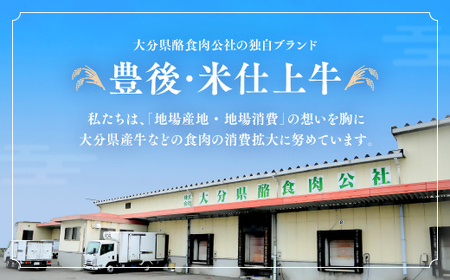 KA-04 豊後・米仕上牛お楽しみコース（豊後高田市限定・毎月発送・計３回・定期便）