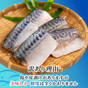 訳あり 塩サバ 腹骨取り 切身 約3.5kg 【 さば 】 カネジョウ大崎