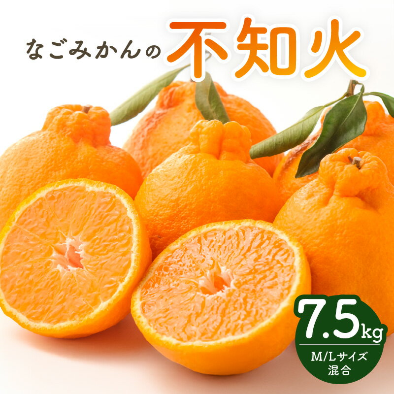 【ふるさと納税】【2027年発送先行予約品】なごみかん 不知火 7.5kg 三重県御浜町産 【ずっしり果肉が詰まった「しらぬい」】