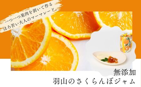 羽山のさくらんぼジャムと羽山の紅玉りんごジュレと田舎の夏みかんマーマレード 3個セット ジャム さくらんぼ りんご 紅玉 ジュレ 無添加 手作り パン セット マーマレード みかん おすすめ お中元 