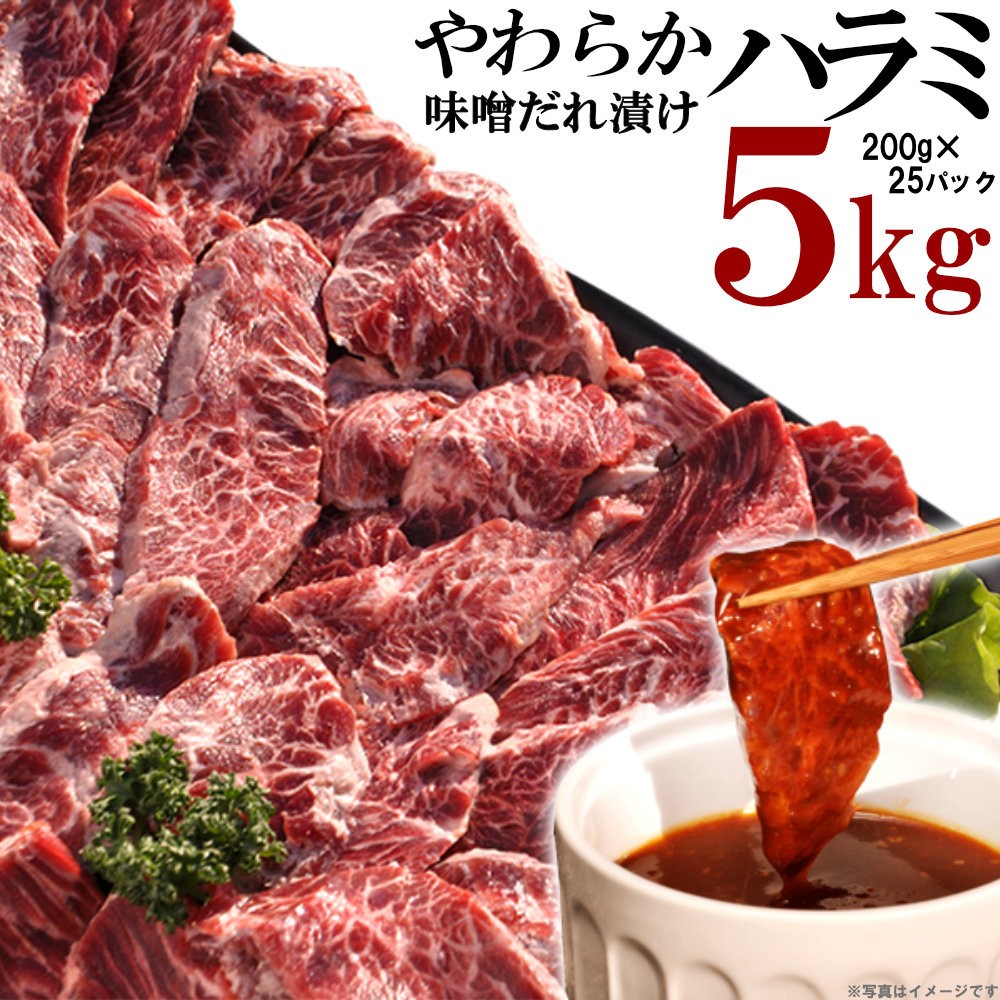 
            やわらかハラミ味噌だれ漬け5kg（200ｇ×25）
          