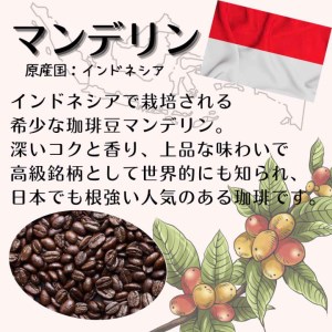 【定期便】自家焙煎 人気珈琲豆 3種セット（3か月）（豆のまま）