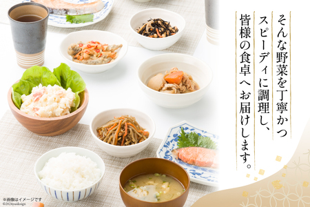 惣菜 10種 3回定期 ヤマザキ もう一品