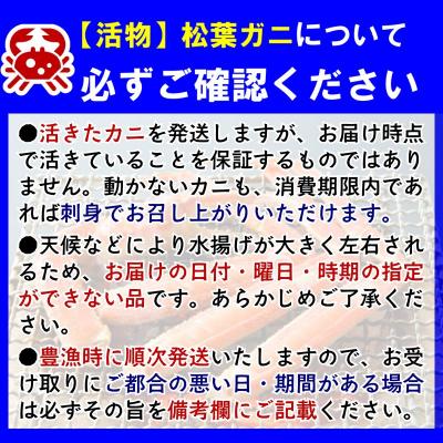 ふるさと納税 八頭町 【活物】特撰 松葉がに(タグ付き)400g超 お手頃サイズ　1杯 |  | 03