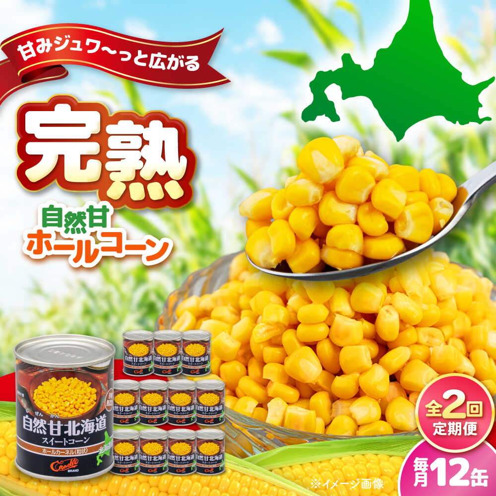 【ふるさと納税】【全2回定期便】 自然甘ホールコーン 12缶《喜茂別町》【きもべつ観光協会】 コーン コーン缶 缶 缶詰 とうもろこし トウモロコシ 北海道 常温 常温配送 定期便 定期 [AJAG027] 18000 18000円