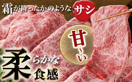 宮崎牛ローススライス(500g)≪みやこんじょ快速便≫_MJ-N401-R_(都城市) 宮崎県産宮崎牛 500g×1P 牛肉 ロース スライス すき焼き しゃぶしゃぶ