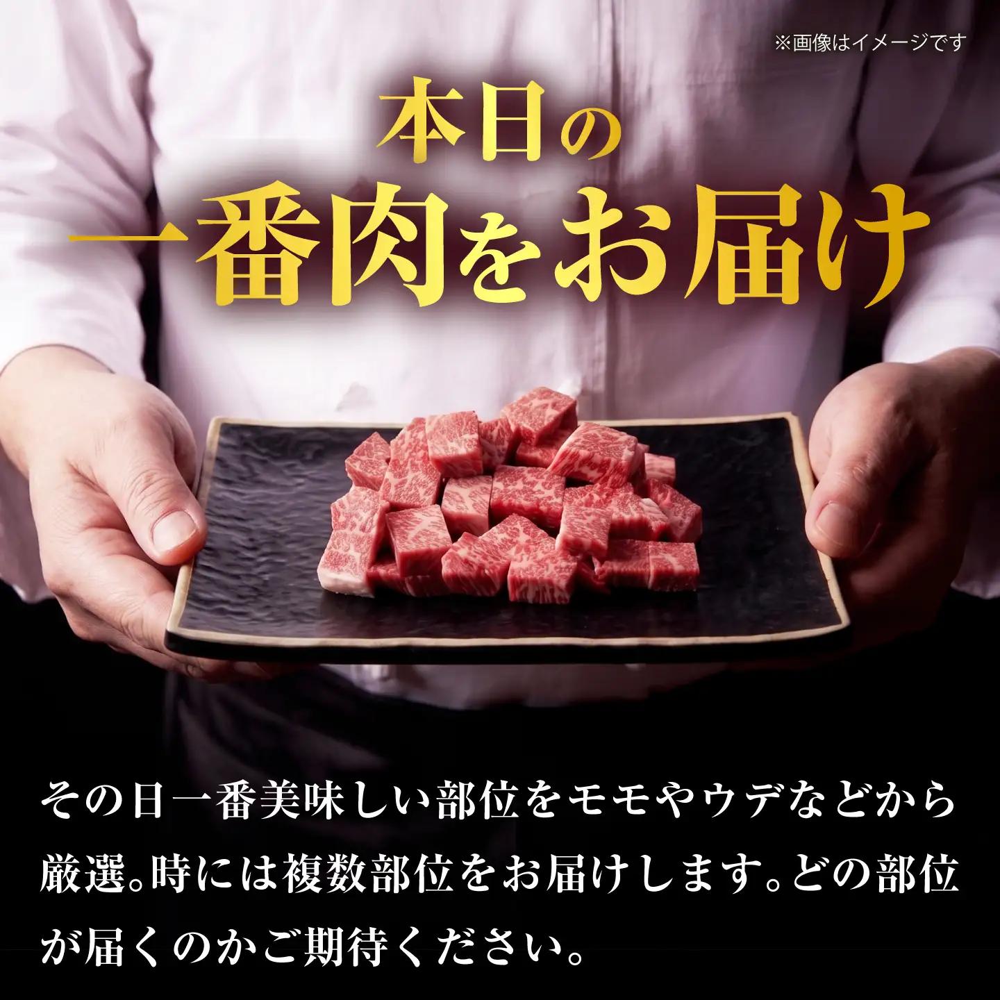 厳選佐賀牛 赤身サイコロステーキ500g / 有限会社片岡精肉店 [41AEAC016]