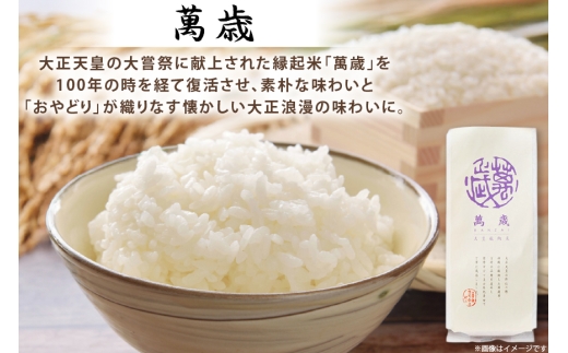 レトルト 六ツ美のあの肉カレー＆萬歳 大正浪漫セット カレー 240g 計 4食 米 500g 1袋[六ツ美養鶏加工協同組合 愛知県 岡崎市 ok23bzw510010] カレー チキンカレー レトル