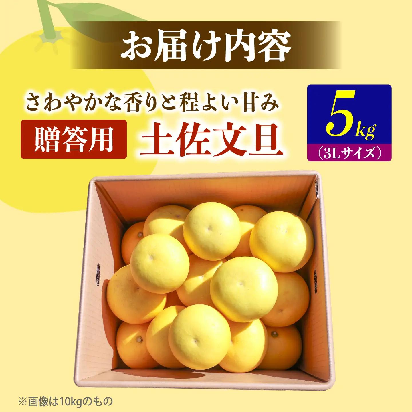 【先行予約】土佐文旦の創始 宮地文旦園の土佐文旦 贈答用3L 大玉 約5キロ 7~9個入り 5kg〈2027年3月上旬～4月下旬〉  高知県 土佐市【宮地文旦園】[BQBP003]
