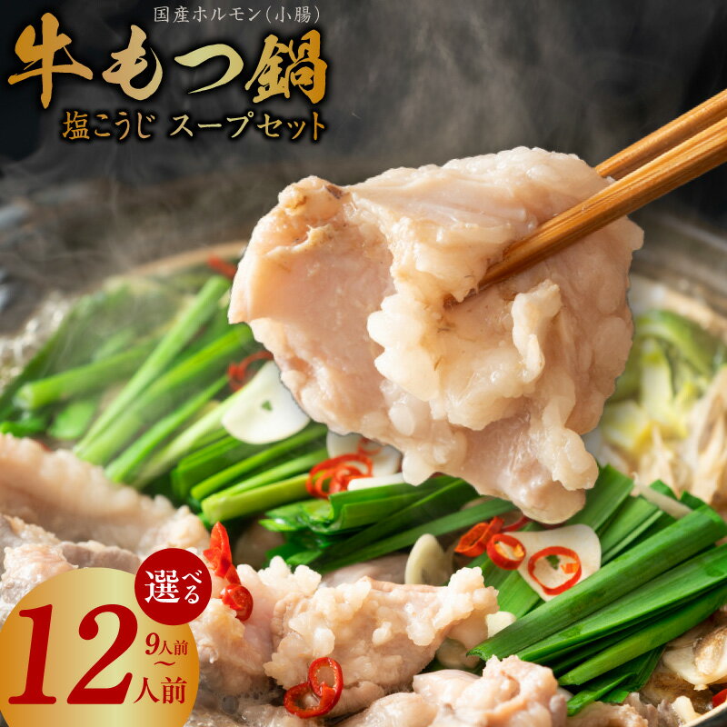 【ふるさと納税】牛 もつ鍋 国産 ホルモン 小腸 900g / 1.2kg 塩こうじ スープ セット 約 9人前 12人前 牛もつ もつ 牛ホルモン 鍋 生塩麹 塩麹鍋 酵素 国産牛 小分け 簡単 冷凍 お取り寄せ お取り寄せグルメ 楽天限定 大阪府 泉佐野市 送料無料 肉の泉佐野