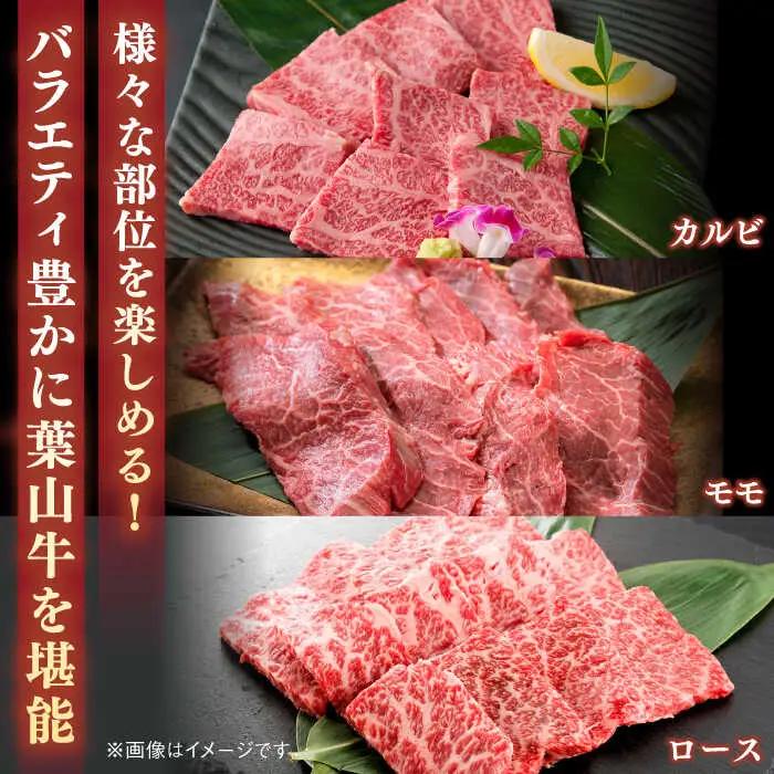 【全12回定期便】葉山牛1kg　焼肉用ミックス 牛肉（ロース、モモ、カルビ等 4種類 ) 食べ比べ[ASBD036]