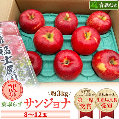 【ふるさと納税】「葉とらずサンジョナ」約3kg・訳あり家庭用りんご【配送不可地域：離島・沖縄県】【1491235】