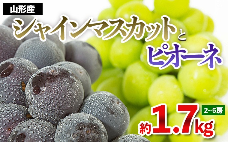 
            やまがたのぶどう シャインマスカット＆ピオーネ 秀品 約1.7kg(2～5房程度) [9月発送] 【令和7年産先行予約】FS23-752 くだもの 果物 フルーツ 山形 山形県 山形市 2025年産
          