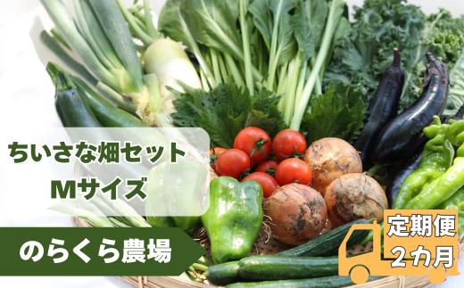 【先行受付】定期便2カ月　有機野菜ちいさな畑セット（Mサイズ　２～３人前）（NK-T501）
