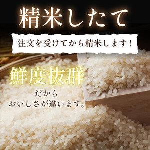 こしひかり 5kg 白米 令和7年産 潮風米 こしひかり 徳島 小松島