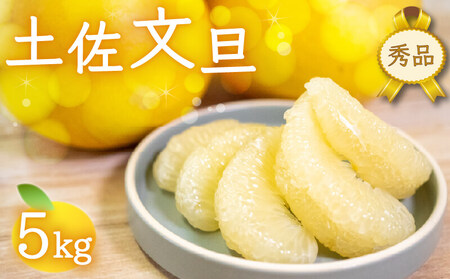秀品 安和文旦5kg 高知県産 2026年2月より順次発送  文旦 文旦 文旦 文旦 ぶんたん ぶんたん ぶんたん ぶんたん