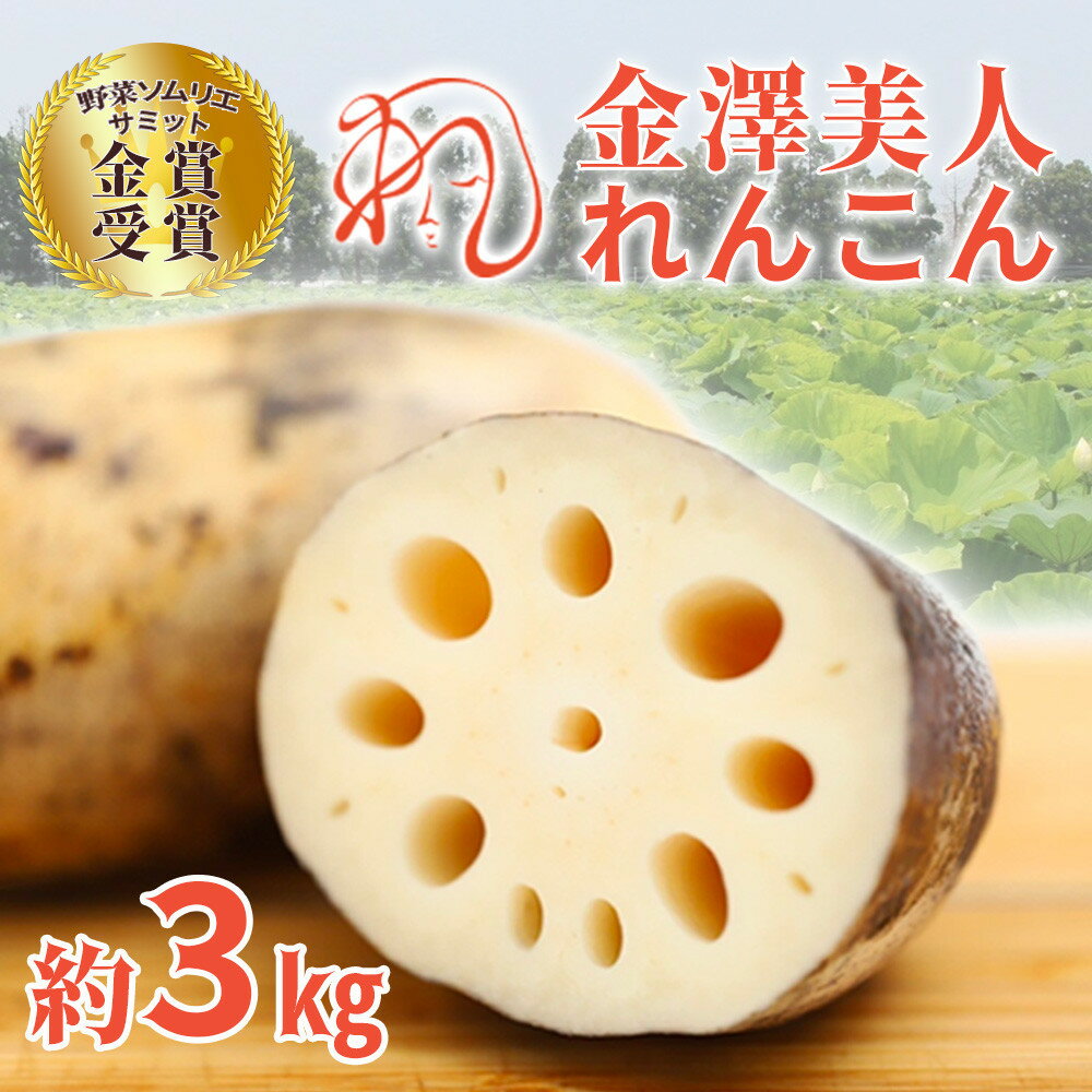 【ふるさと納税】レンコン 3kg 金澤美人れんこん 蓮根 野菜 根菜 | れんこん 野菜 根菜 蓮根 金沢市 やさい 食品 人気 おすすめ 送料無料石川 金沢 加賀百万石 加賀 百万石 北陸 北陸復興 北陸支援