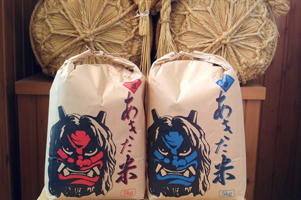 【先行受付・定期便3ヶ月】令和7年産 あきたこまち 精米 10kg（5kg×2袋）3ヶ月連続発送（合計 30kg）秋田県 男鹿市