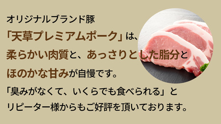 S058-026_天草プレミアムポーク 豚こま切れ 約1kg(約500g×2パック)