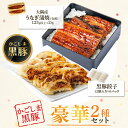 【ふるさと納税】鹿児島県大隅産うなぎ(2尾)・黒豚餃子(計72個・12個入×6P)セット 鹿児島 国産 九州産 黒豚 豚肉 うなぎ 鰻 蒲焼き かば焼 うな重 うな丼 ひつまぶし 餃子 ギョーザ ぎょうざ 惣菜 おかず ギフト 贈答【和田養豚】