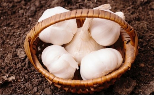 
JA生にんにく（新物）約10kg
