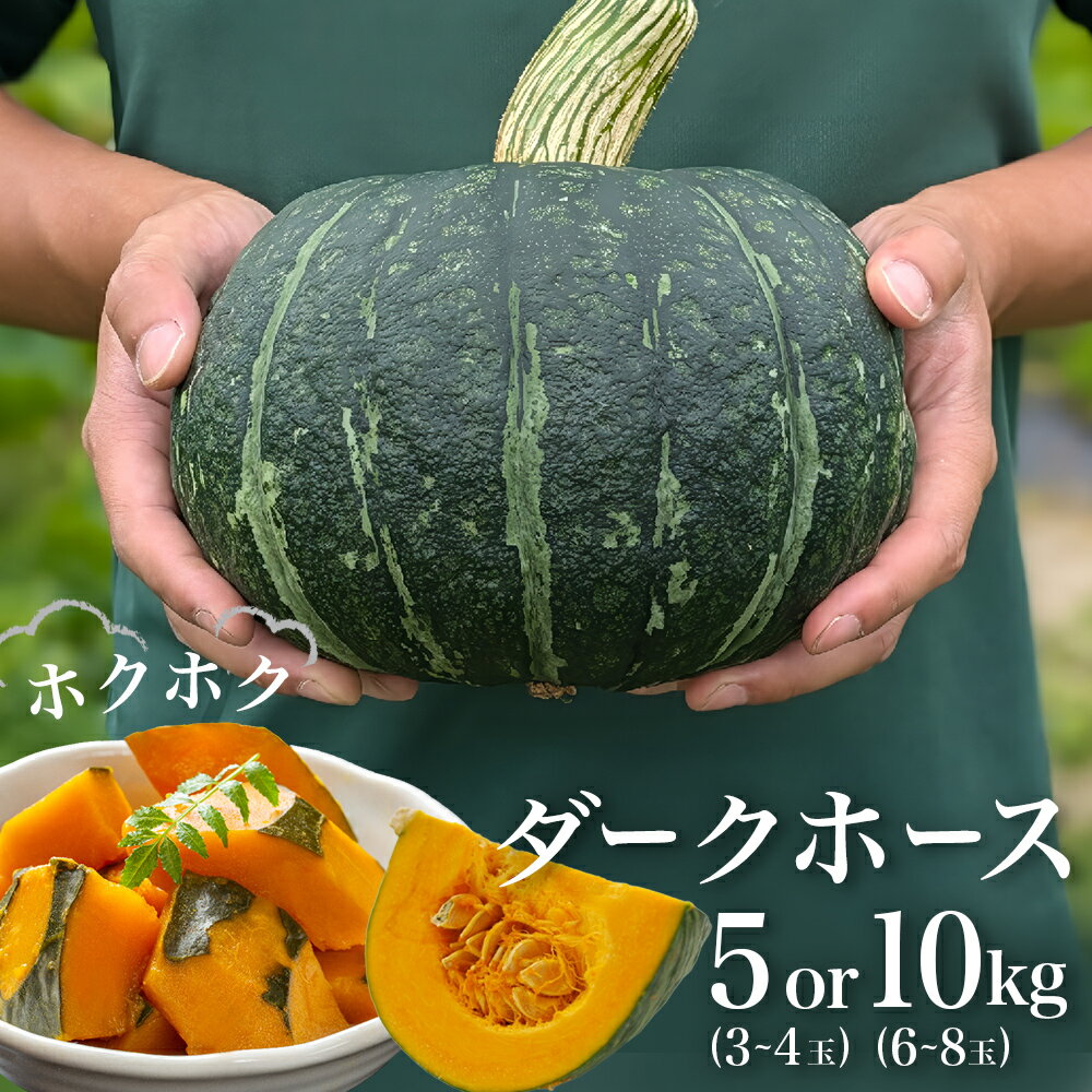 【ふるさと納税】石巻伝承野菜 かぼちゃ ダークホース 選べる 5 or 10キロ ( 3-4 or 6-8玉 ) カボチャ 南瓜 野菜 石巻産 国産 甘い 濃厚 おかず スープ 宮城県 宮城 石巻市 石巻