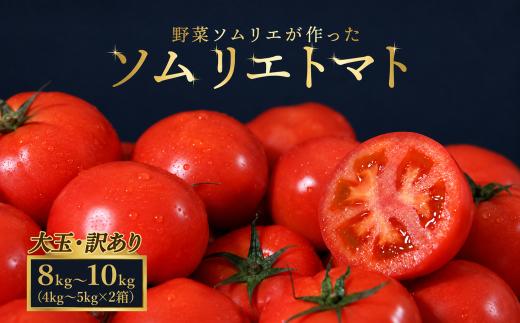 【特別栽培農産物】大玉 訳あり ソムリエトマト 約8kg ～ 10kg (約4kg～5kg × 2箱) | 野菜 やさい トマト とまと 銀賞 熊本県 玉名市