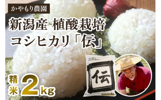 【令和7年産新米】新潟産コシヒカリ「伝」白米真空パック 精米2kg 《9月下旬～順次出荷》 南麻布の高級料亭で提供される極上米 かやもり農園