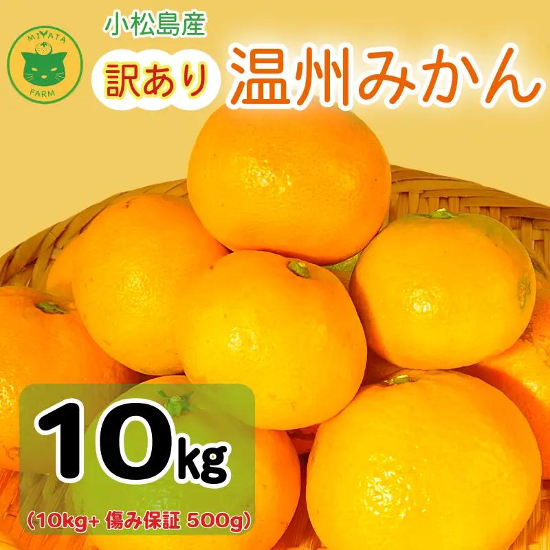 【2026年11月発送】訳あり 温州みかん 10kg + 500g(傷み補償分) みかん