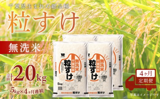 ＜4か月定期便＞ 千葉県産「粒すけ」無洗米 5kg×4か月連続 計20kg