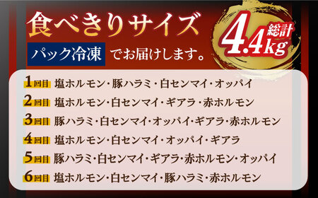 【全6回定期便】ろくめい 人気 バラエティー 定期便 計4.4kg 大村市 塩ホルモンろくめい[ACAO005]