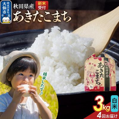 ふるさと納税 大仙市 定期便4ヶ月 あきたこまち白米 3kg 秋田県産 令和8年産|22_kml-010304s