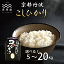 【ふるさと納税】★ レビューキャンペーン 京丹波こしひかり 5kg 10kg 15kg 20kg 令和6年産 新米 京都 精米 コシヒカリ ※北海道・沖縄・その他離島は配送不可