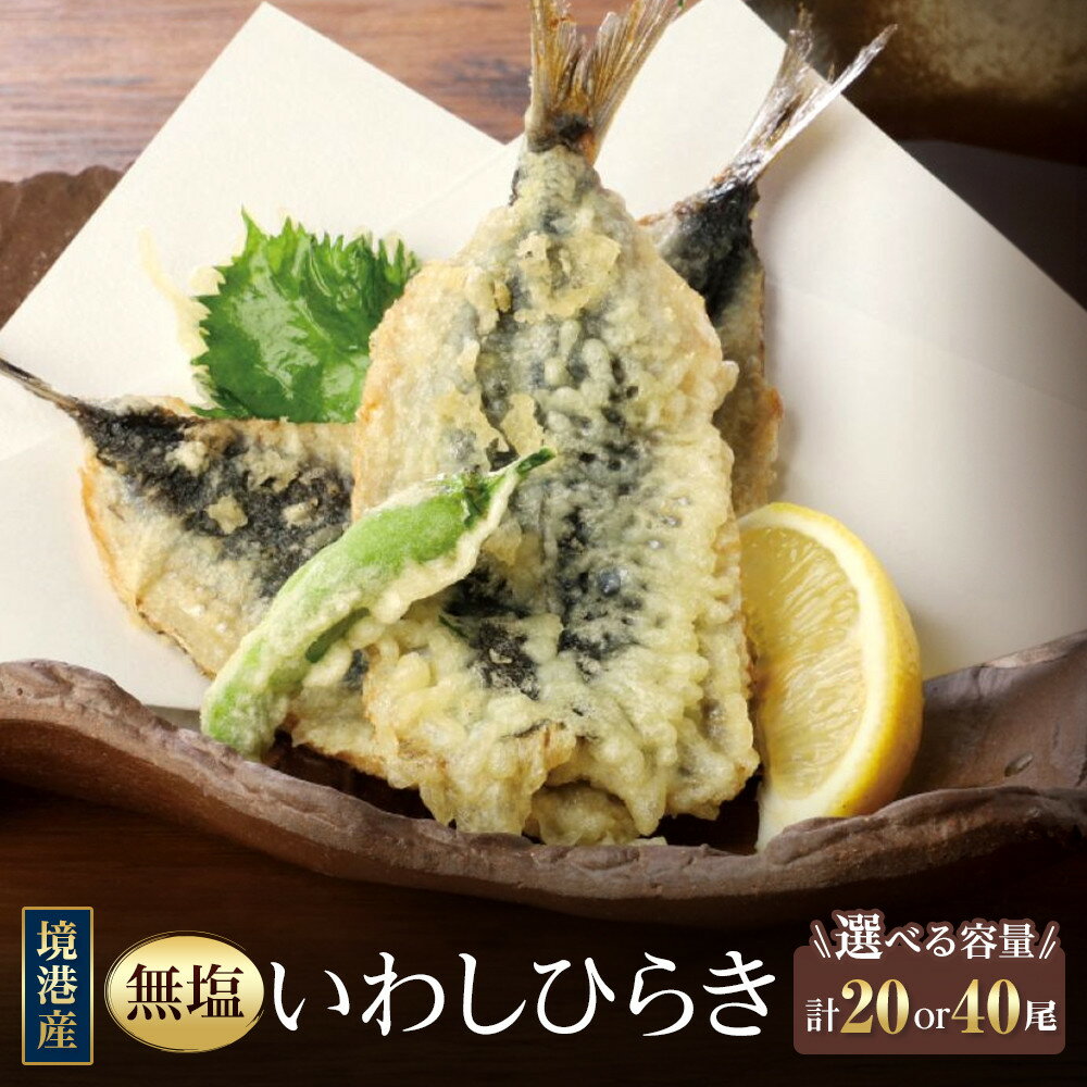【ふるさと納税】＜容量が選べる＞境港産 無塩いわしひらき(計20尾 / 40尾) | いわし イワシ 鰯 開き 干物 無塩 魚干物 海鮮 魚介 魚介類 焼き魚 健康志向 低塩 おかず
