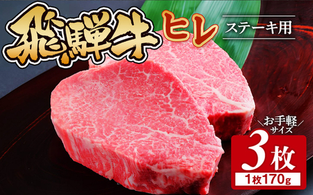 飛騨牛 ヒレ 170g ×3枚｜ﾋﾚ ﾋﾚ ﾋﾚ ﾋﾚ ﾋﾚ ﾋﾚ ※離島への配送不可