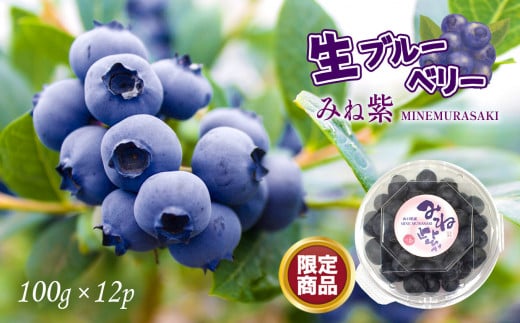 期間限定 生ブルーベリー 「 みね紫 」12pセット  ｜ ブルーベリー 大粒 生ブルーベリー みね紫 フルーツ 果物 果実 お取り寄せ ご当地 山口 美祢 特産品 期間限定 季節限定 限定