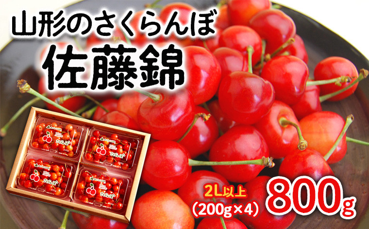 
            山形のさくらんぼ 佐藤錦 800g(200g×4パック) 2Lサイズ以上 【令和7年産先行予約】FS24-552くだもの 果物 フルーツ 山形 山形県 山形市 2025年産
          