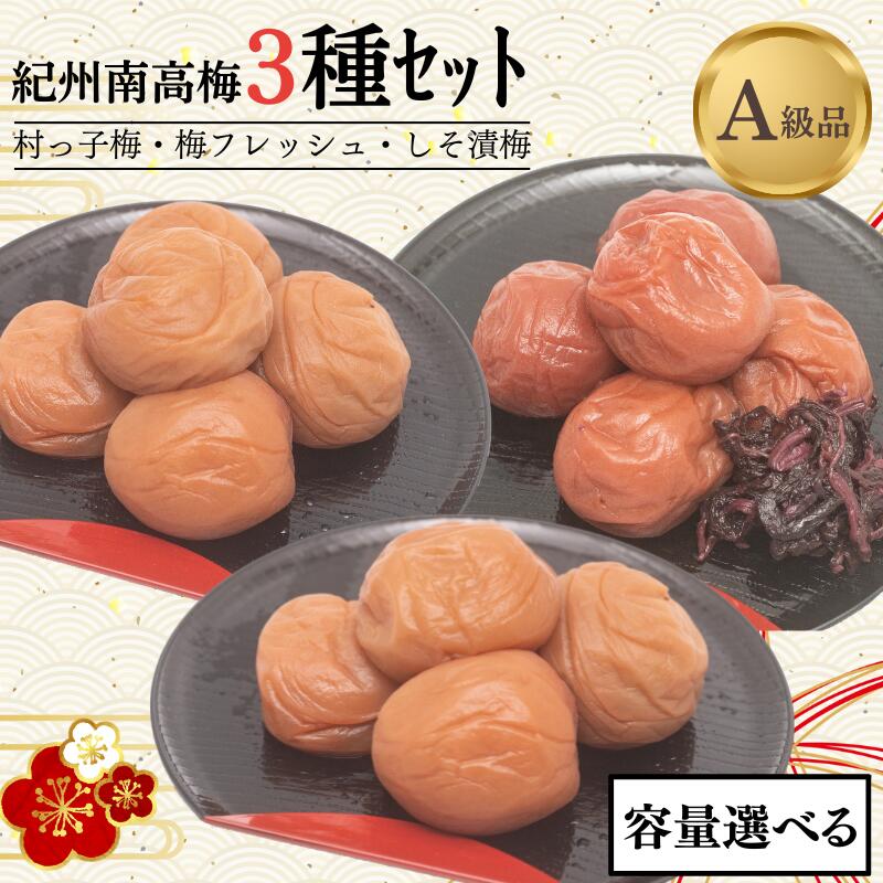 【ふるさと納税】 【レビューキャンペーン中】 【紀州南高梅3種】 村っ子梅（塩分約8％）・梅フレッシュ（塩分約5％）・しそ漬梅（塩分11％）【容量選べる】 / 和歌山 田辺市 紀州南高梅 南高梅 梅干し 梅干 梅 はちみつ入り しそ漬け 減塩 塩分控えめ セット 詰合せ