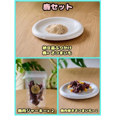 ふるさと納税 富田林市 【ふるさと納税限定セット】【わんちゃん用ペットフード】 WalkyHoliday 鹿セット