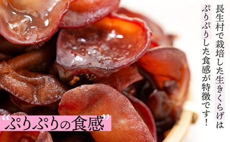 U01-002 生きくらげ＆乾燥きくらげセット