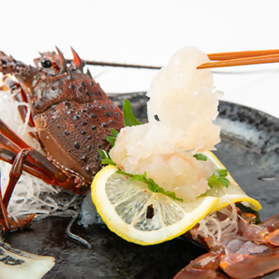 【2026年先行予約】【金曜日発送】漁師直送!千葉県館山産 天然『活』伊勢海老2kg(サイズお任せ)【配送不可地域：離島・北海道・沖縄県・中国・四国・九州】