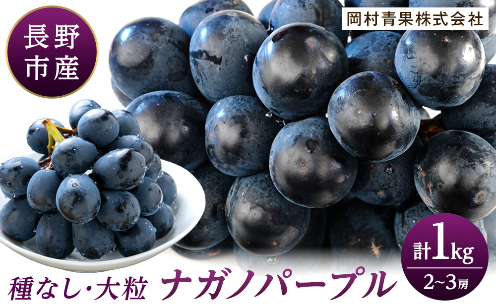 金オ岡村青果株式会社　長野市産 ナガノパープル1kg【2026年8月末以降出荷分】果物 くだもの フルーツ デザート 種無し 大粒 旬 |  ぶどう フルーツ 果物 人気 おすすめ ギフト プレゼント