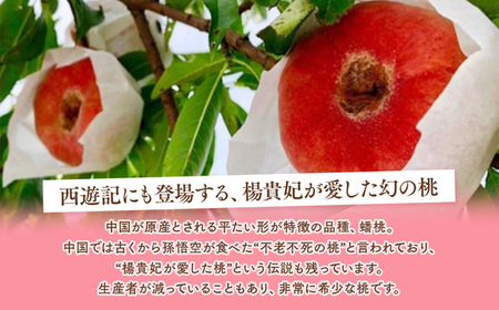 ◆2026年夏発送◆＜ 蟠桃・約2kg ＞ ※離島への配送不可 ※2026年7月中旬頃〜8月下旬頃までに順次発送｜桃 もも モモ フルーツ 果物 ふくしま 福島 国見町 詰め合わせ