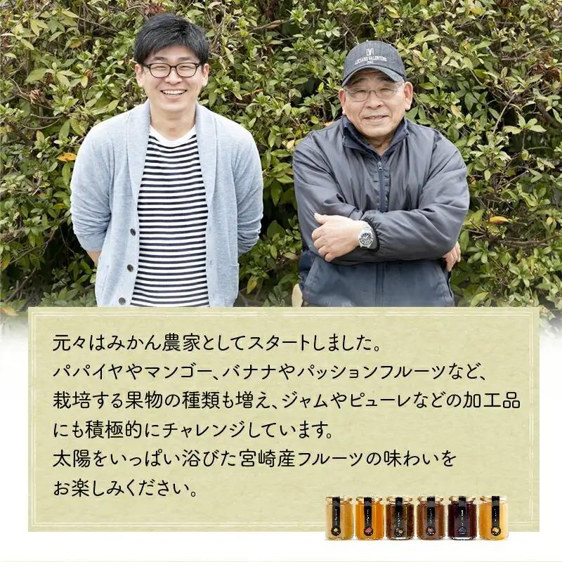 宮崎県産フルーツ 季節のお楽しみジャムセット(150g×6種セット) 宮崎県産 国産 フルーツ ジャム 150g 6種 セット 詰め合わせ 贈答 贈り物 ギフト プレゼント パン ホットケーキ ヨーグ