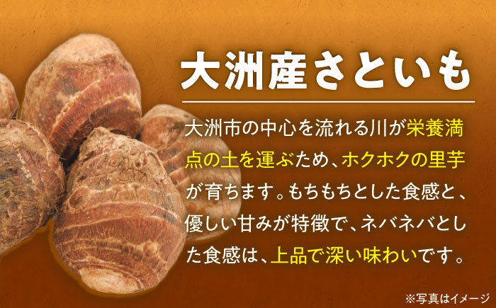 【先行予約】【9月上旬より順次発送】自然の恵みと伝統が育んだ！大洲産トロトロさといも（L〜2Lサイズ）4kg　愛媛県大洲市/沢井青果有限会社 [AGBN003]里芋 和食 朝ごはん 里芋の煮っころがし