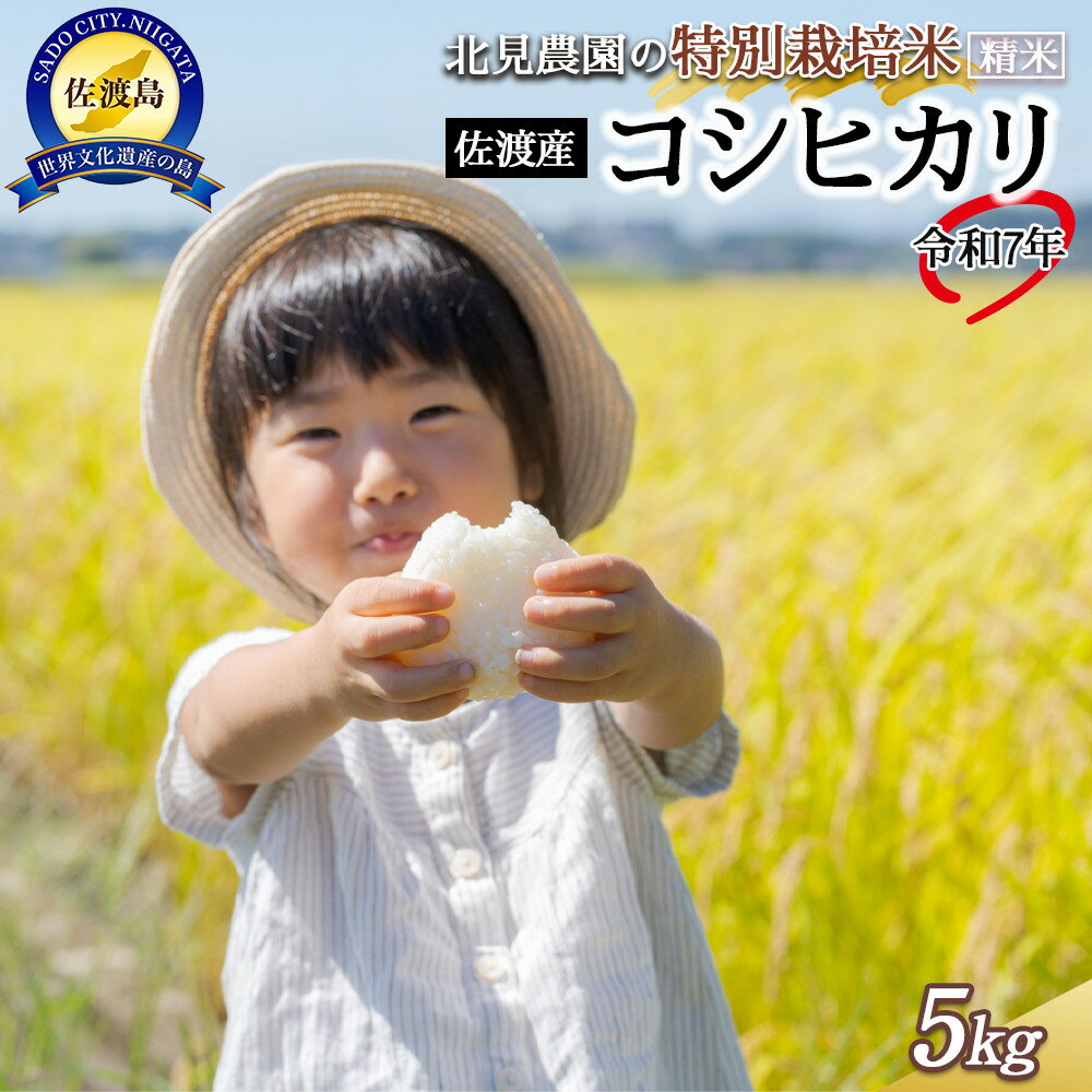 【ふるさと納税】【令和7年産】北見農園の特別栽培米 令和7年佐渡産コシヒカリ 5kg 農家自慢の逸品 精米
