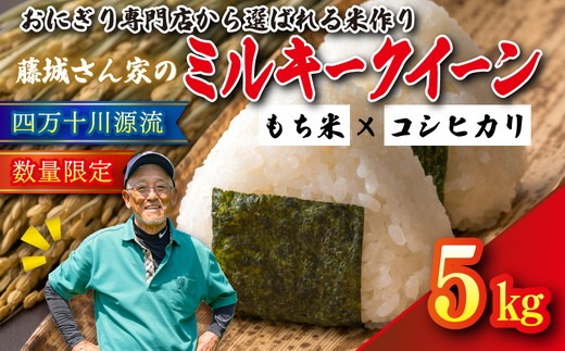 【おにぎり専門店御用達！】藤城さん家のミルキークイーン5kg【令和8年産】 ｜ ご飯 白米 お米 5kg 令和8年 定期便 令和8年産 精米済み 愛媛県鬼北町　※2026年9月～発送