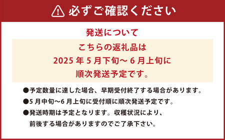 【植木産】熊本スイカ (祭ばやし) 7~8kg前後 スイカ 果物【2026年5月下旬～6月上旬迄順次発送予定】