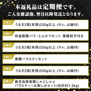 【F90003】＜定期便・全6回＞肝付町セレクト定期便《鰻と豚肉を楽しむ定期便》 鹿児島 豚肉 鹿児島県産 黒豚 鰻 うなぎ ウナギ とんかつ しゃぶしゃぶ ハム ウィンナー 定期便 セレクト 冷凍 