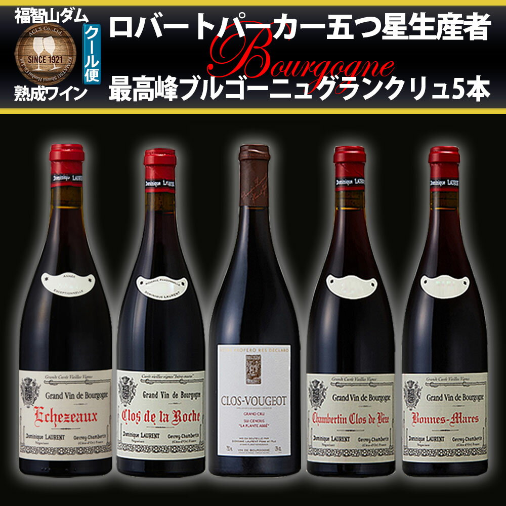 【ふるさと納税】FD586 福智山ダム熟成 五つ星生産者 ブルゴーニュ最高峰GC 5本 詰め合わせ セット 各750ml 5種類 ワイン 熟成ワイン 酒 お酒 ぶどう ブドウ 葡萄 ブルゴーニュ 冷蔵 福岡県 直方市 送料無料